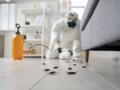 Get Rid of Bugs From Your Home and How to Keep Them Out (VIDEO)
